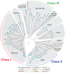 Classes of ERVs.svg