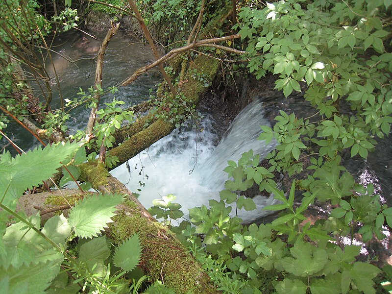 File:Costers Brook 002.JPG