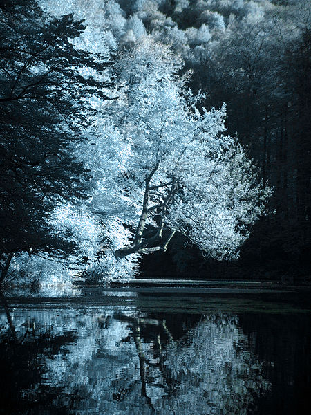 File:Infrared 08705 yedigoller-exposure.JPG