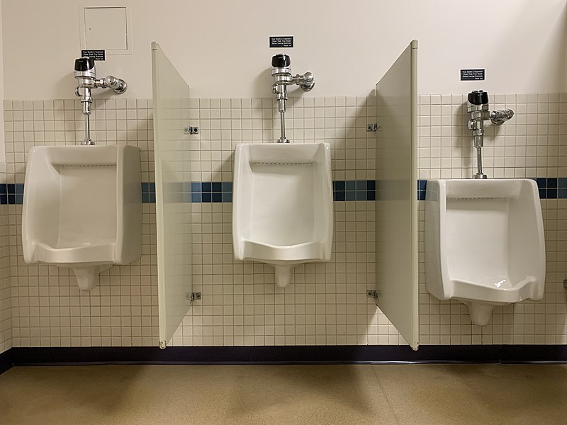 File:Men’s Room Urinals.jpg