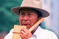 Image 14An Indigenous man playing a panpipe, antara, or siku (from Indigenous peoples of the Americas)