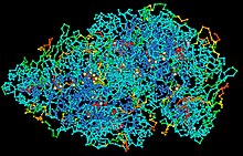 ProteinStructure.jpg