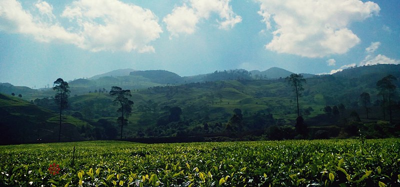 File:Rancabali bandung.jpg