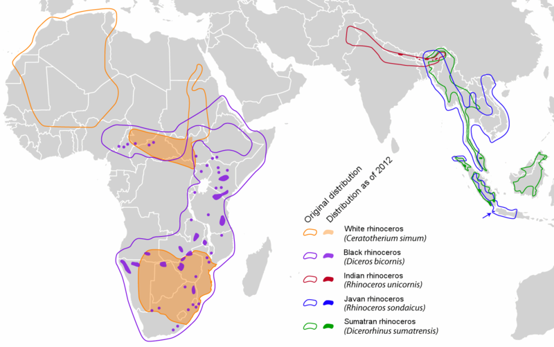 File:Rhinocerotidae distribution map en.png