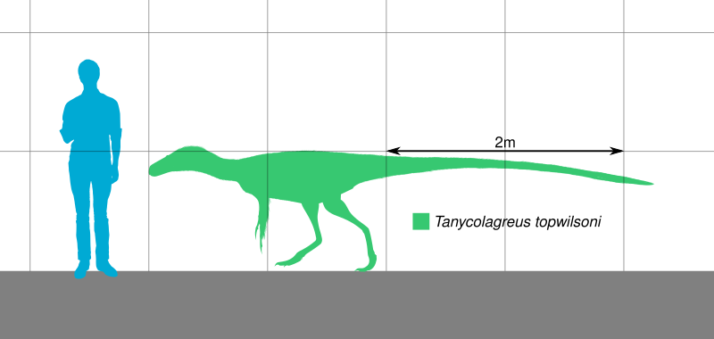 File:Tanycolagreus Scale.svg