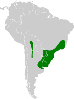 Distribución geográfica del batará pardo.