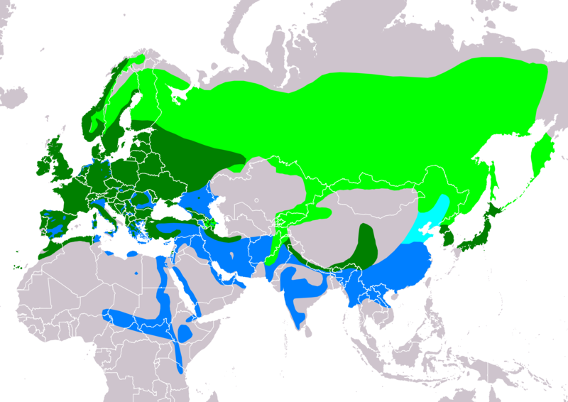 Файл:AccipiterNisusIUCNver2018 2.png