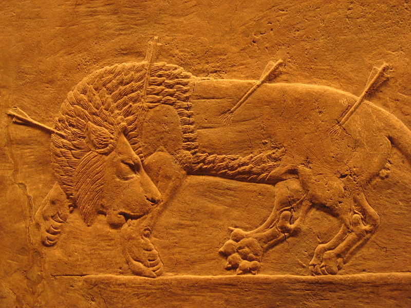 File:Assyrian royal lion hunt.jpg