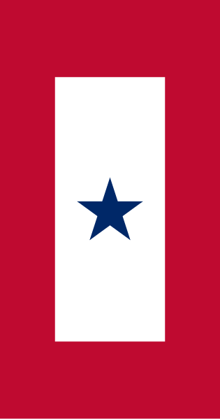 File:Blue Star Service Banner.svg