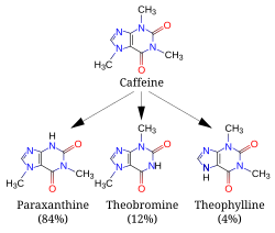 A diagram featuring 4 skeletal chemical formulas. Top (caffeine) relates to similar compounds paraxanthine, theobromine and theophylline.