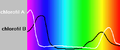 Absorption maxima of chlorophylls against the spectrum of white light.[citation needed].