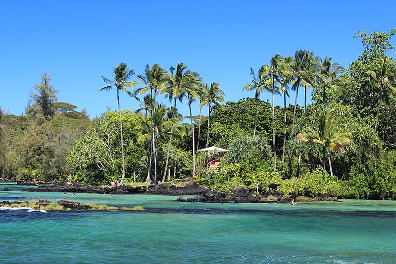 File:Four-mile beach, Hilo, Hawaii.jpg