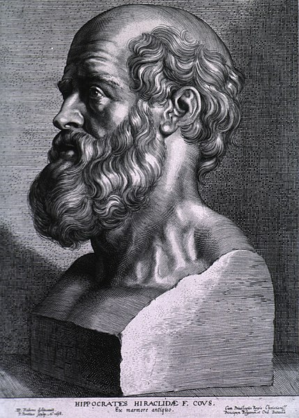 Файл:Hippocrates rubens.jpg