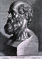 Image 27Hippocrates (c. 460–370 BCE). Known as the "father of medicine". (from History of medicine)