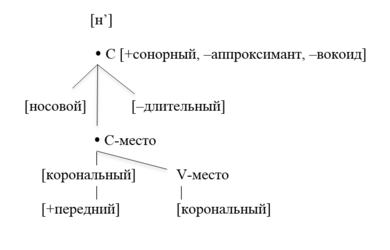 Геометрия признаков мягкого дентального носового сонорного [н']