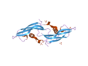 2ask: Structure of human Artemin