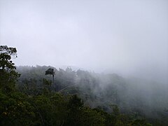 Clima de montaña Colonia Tovar, Aragua