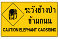 Elephant crossing