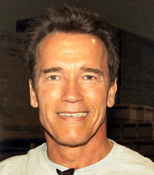 Archivo:Arnold Schwarzenegger edit(ws).jpg