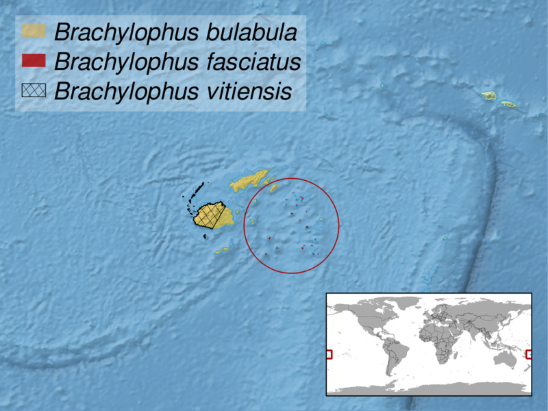 File:Brachylophus sp. distribution.png