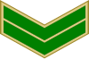 Insignia of alikersantti