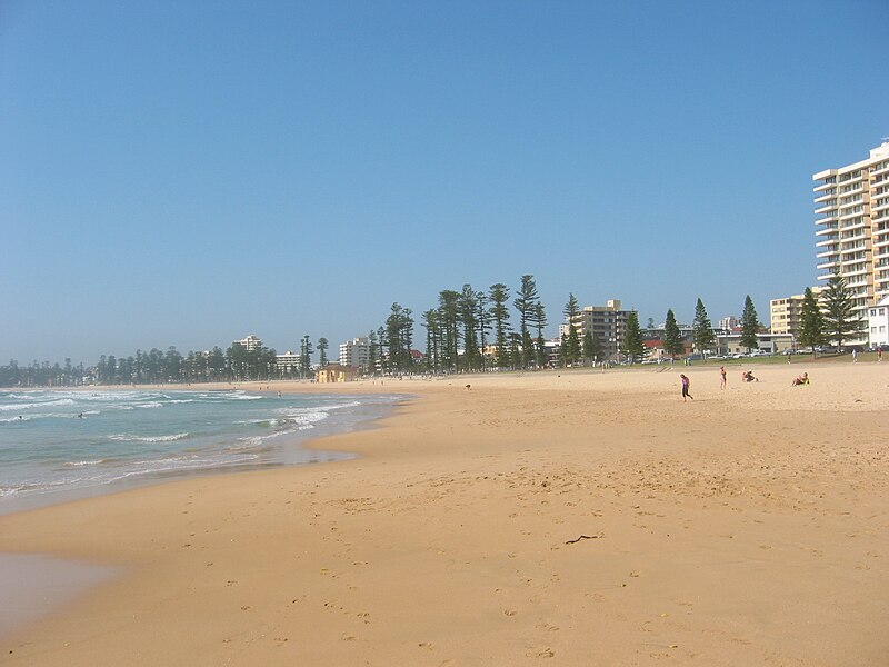 File:Manly Beach looking south.jpg