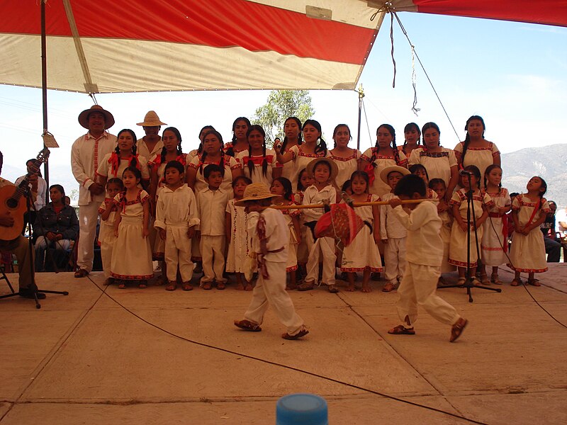 Archivo:Perropastormezquital.JPG