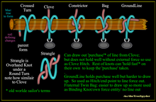 Clove Family of Constrictor, Bag, Groundline, Strangle. Knot vs. Hitch. Purchase as rope taken from system and then can you hold it fast (old sailor terms)