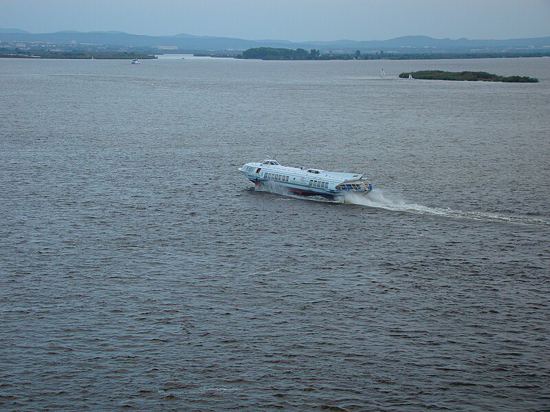 Файл:Amur-2010.JPG