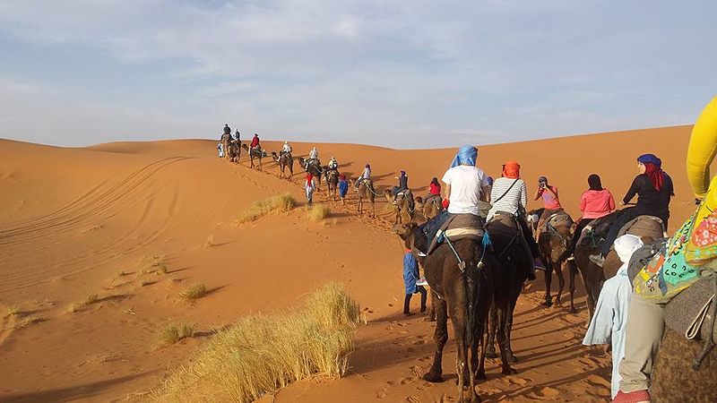 Файл:Caravan, Merzouga.jpg