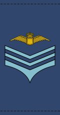 File:Danish-Airforce-OR-3.svg