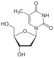 Skeletal formula of thymidine