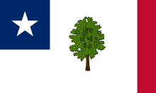 Unofficial variant of State flag