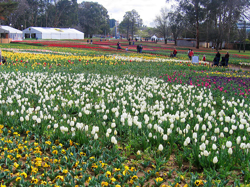 File:Floriade canberra05.jpg