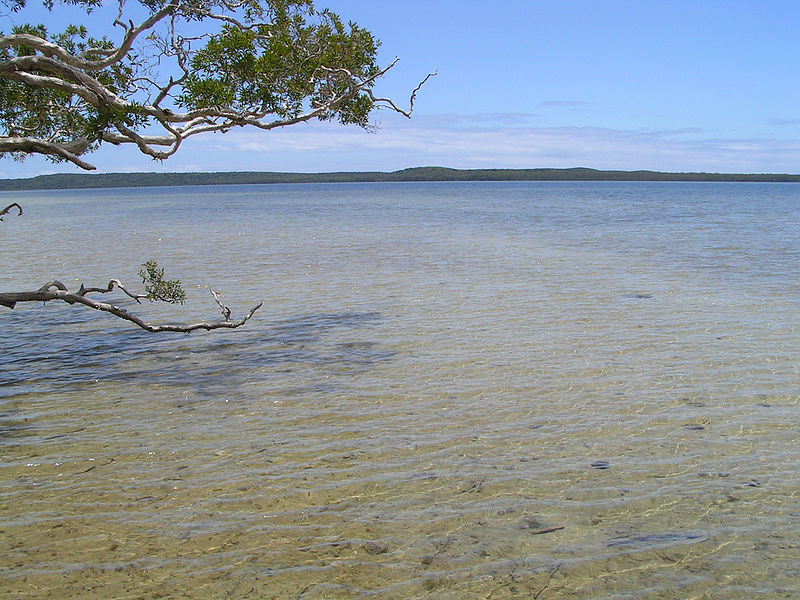 File:Lake Weyba (2099873732).jpg