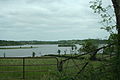 Lough Gowna Loch Gamhna