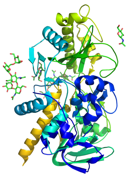 File:Mandelonitrile lyase.png