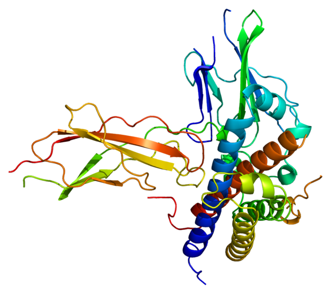 File:Protein GHR PDB 1a22.png