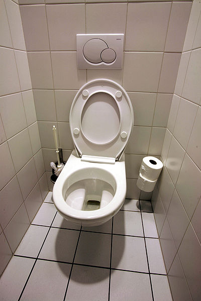 File:Toilettes mg 3872b.jpg