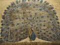 "Peacock" by Merab Abramishvili