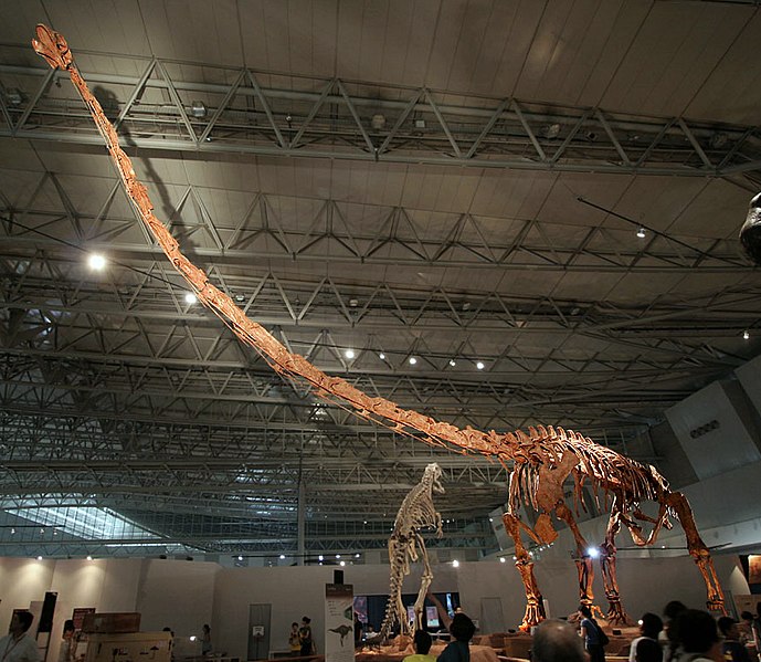 Archivo:Mamenchisaurus in Japan.jpg