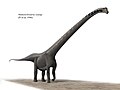 Реконструкция Mamenchisaurus