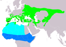 Distribución del autillo europeo: