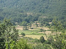 PRUNO (Vallese).JPG