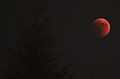 Red moon