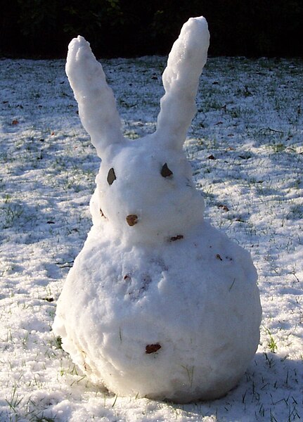 File:Snowrabbit.JPG