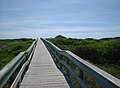 Barrier islands boardwalk