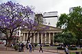 Catedral Metropolitana