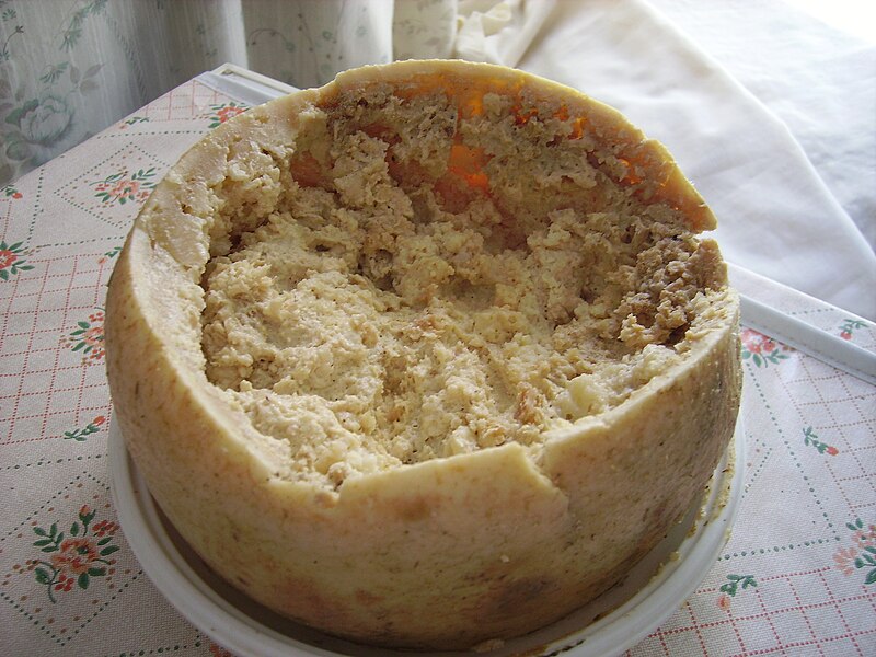 File:Casu Marzu cheese.jpg