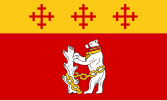 Flag of Warwickshire, England (bear)